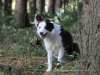 cIMG_1738