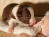 cIMG_0732
