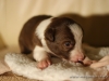 cIMG_0734