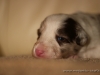 cIMG_0829
