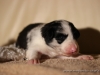 cIMG_0858