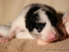 cIMG_0878