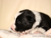 cIMG_0900
