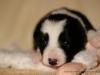 cIMG_0918
