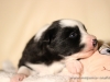 cIMG_0925