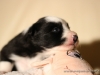 cIMG_0934
