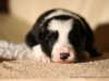 cIMG_0939