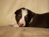 cIMG_0952