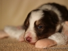 cIMG_0954
