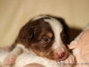 cIMG_0957