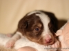 cIMG_0958
