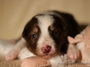 cIMG_0966