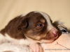 cIMG_0976