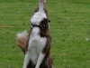 c2013-08-20_7087_bearbeitet-1