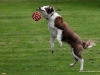 c2013-08-20_7093