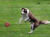 c2013-08-20_7095