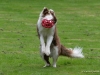 c2013-08-20_7110_bearbeitet-1