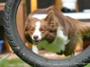 c2013-08-22_7169