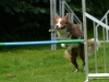 c2013-08-22_7189