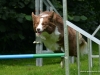 c2013-08-22_7205