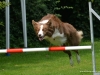 c2013-08-22_7209
