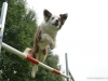 c2013-08-23_7409