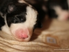 cimg_8283