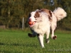c1IMG_2050