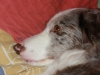 cimg_6605