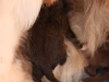 cimg_6615