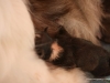 cimg_6618