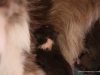 cimg_6620