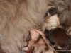 cimg_6626