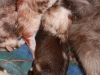 cimg_6629
