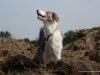 cimg_3294