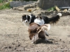 cimg_3358