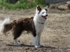 cimg_3364