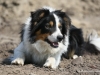 cimg_3381