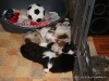 comp_dsc02252