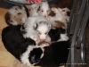 comp_dsc02254