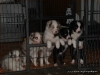 comp_dsc02255