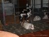 comp_dsc02256