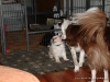 comp_dsc02257