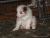 comp_dsc02260