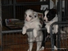comp_dsc02261
