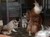 comp_dsc02262