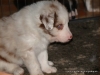 comp_dsc02264