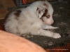 comp_dsc02266