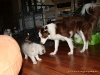 comp_dsc02269