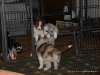 comp_dsc02271